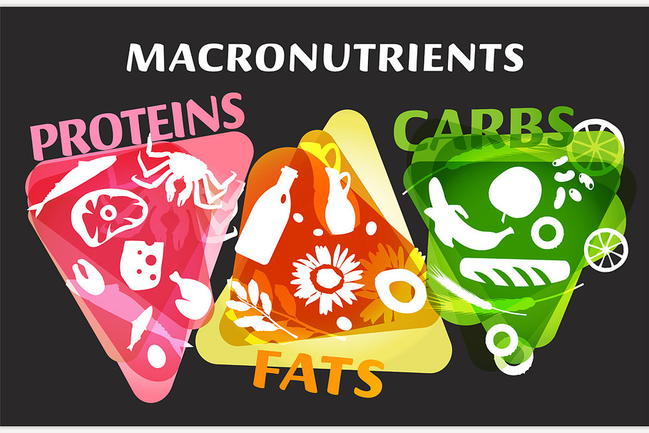 Main food groups - macronutrients in Illustrations - product preview 8
