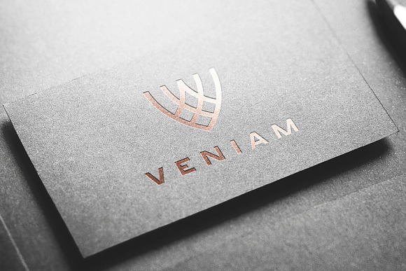 Logo Mockup Silver & Gold - 3 Styles in Branding Mockups - product preview 2