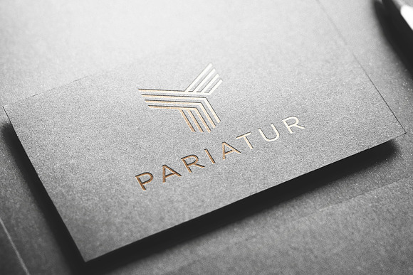 Logo Mockup Silver & Gold - 3 Styles in Branding Mockups - product preview 6