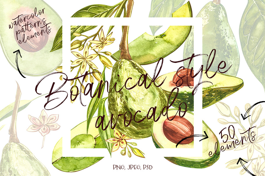 Avocado in botanical style in Illustrations - product preview 8