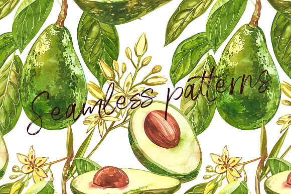Avocado in botanical style in Illustrations - product preview 5