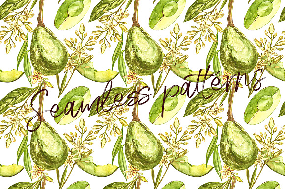 Avocado in botanical style in Illustrations - product preview 6