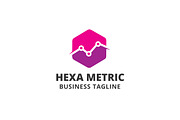 Hexa Metric Logo Template