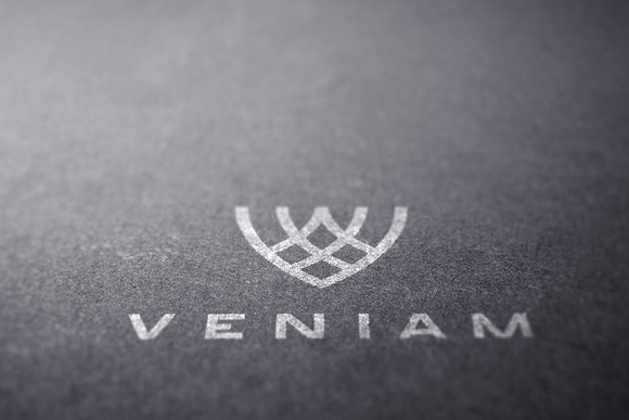 Logo Mockup Silver & Gold - 5 Styles in Branding Mockups - product preview 7
