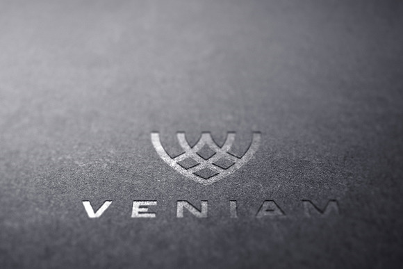 Logo Mockup Silver & Gold - 5 Styles in Branding Mockups - product preview 8