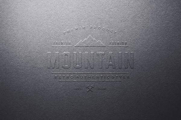Logo Mockup Silver & Gold - 2 Styles