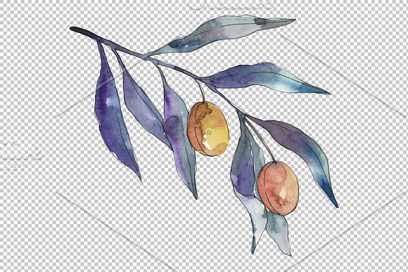 Olives 3 Watercolor png in Illustrations - product preview 2
