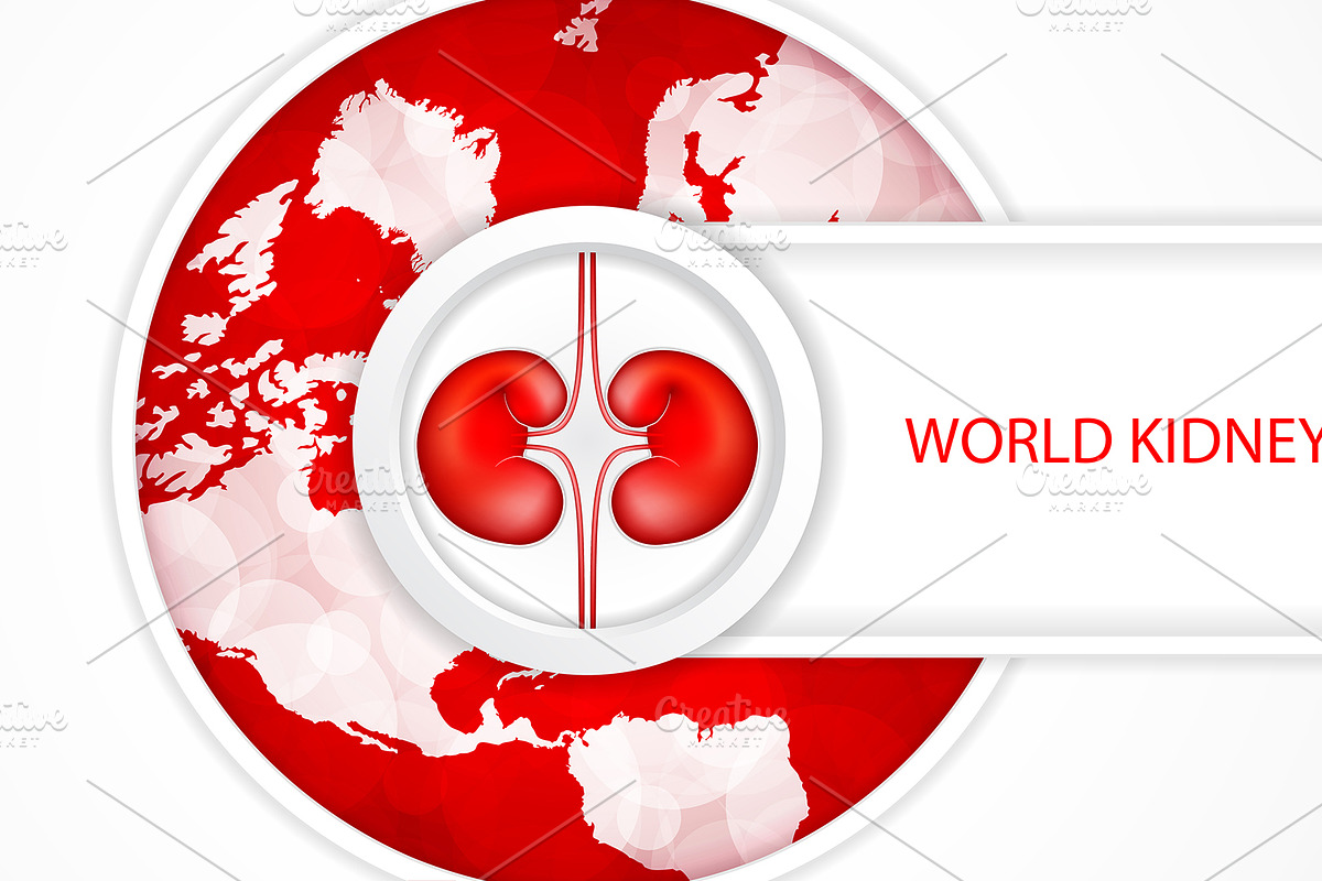 World kidney day in Illustrations - product preview 8