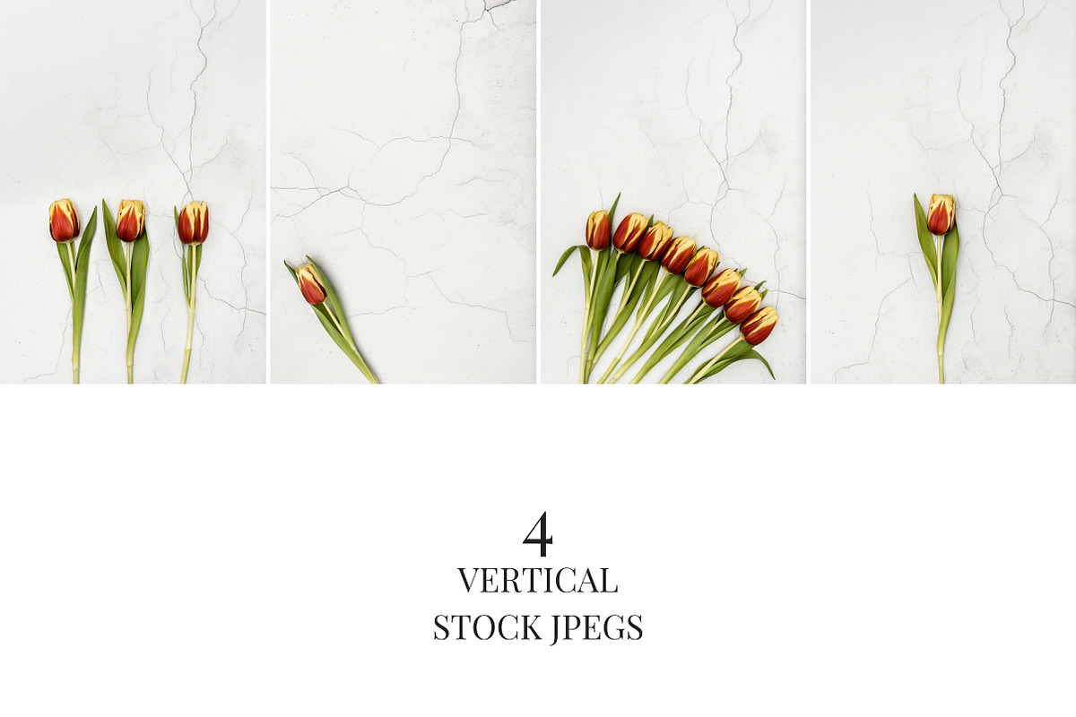 Spring Tulips I in Social Media Templates - product preview 8