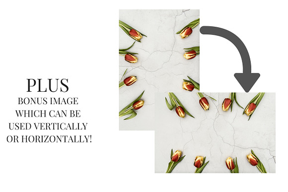 Spring Tulips I in Social Media Templates - product preview 2
