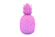 Painted Pink and Pinapple Isolated