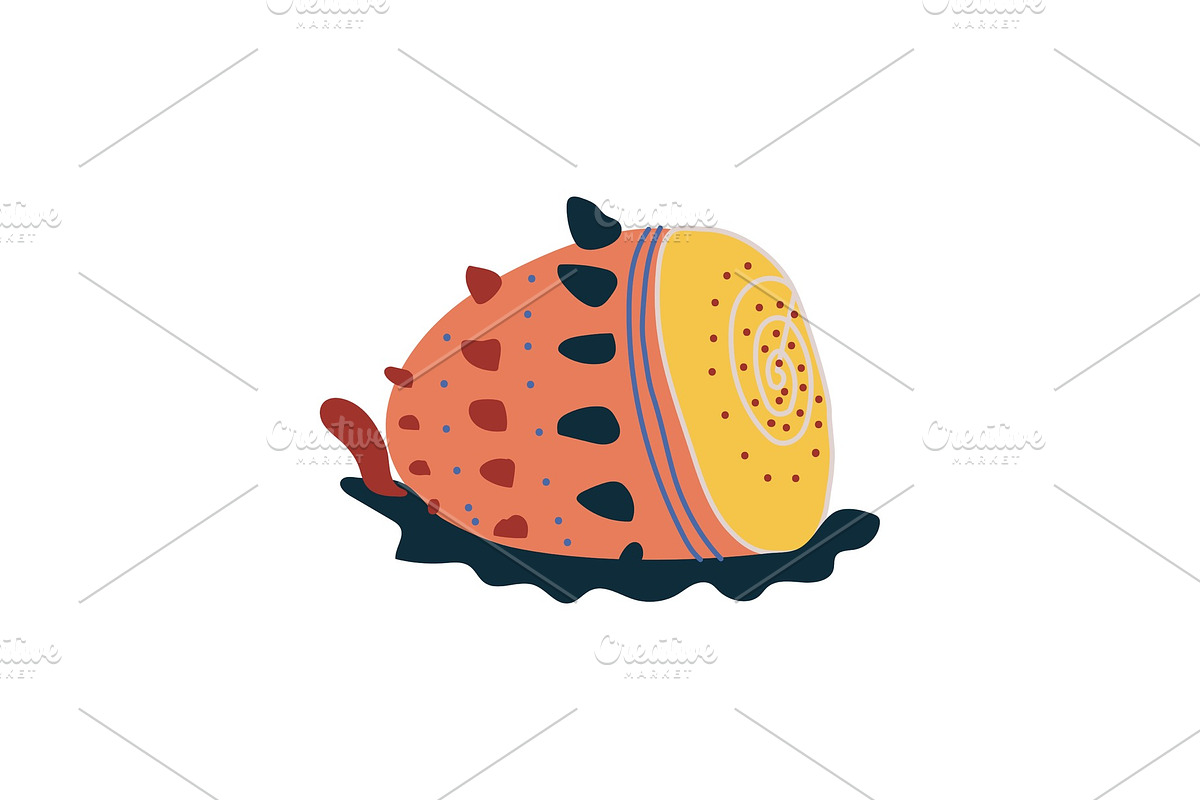 Tropical Shell, Underwater Colorful in Illustrations - product preview 8