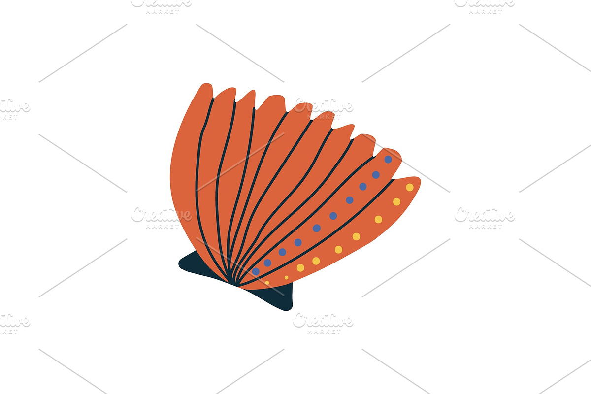 Tropical Orange Shell, Marine in Illustrations - product preview 8