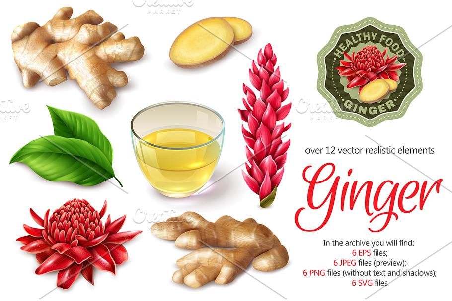 Ginger Realistic Set in Illustrations - product preview 8