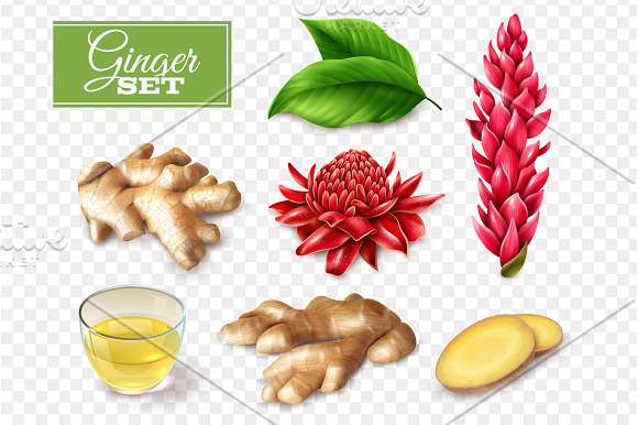 Ginger Realistic Set in Illustrations - product preview 3