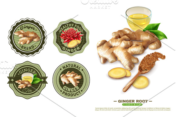 Ginger Realistic Set in Illustrations - product preview 4