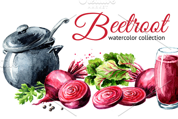 Beet root. Watercolor collection