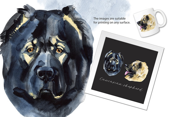 Watercolor dog. Caucasian shepherd in Illustrations - product preview 1