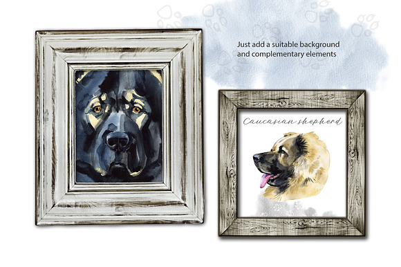 Watercolor dog. Caucasian shepherd in Illustrations - product preview 2