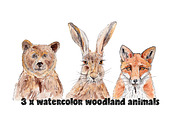Watercolor Animals Bear Hare Fox