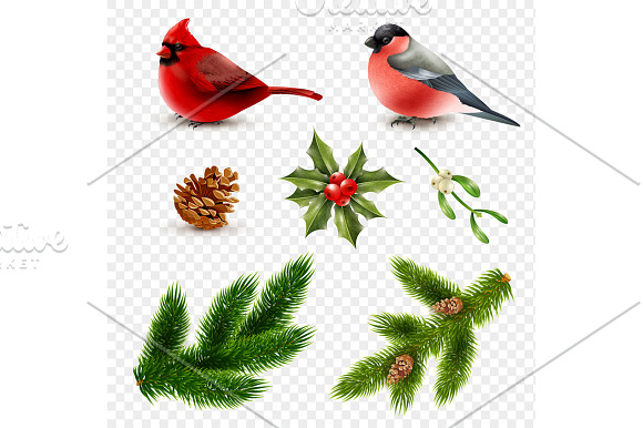 Winter Birds Realistic Set in Illustrations - product preview 1