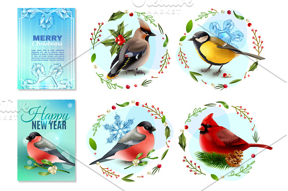 Winter Birds Realistic Set in Illustrations - product preview 2