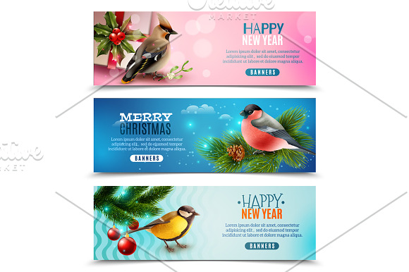 Winter Birds Realistic Set in Illustrations - product preview 3