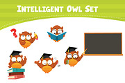 Intelligent Owl Set