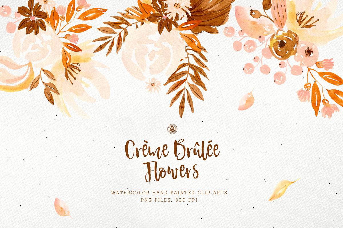 Creme Brulee Flowers in Illustrations - product preview 8