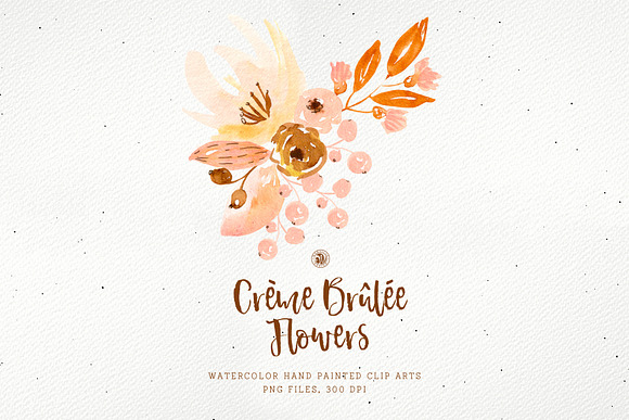 Creme Brulee Flowers in Illustrations - product preview 1