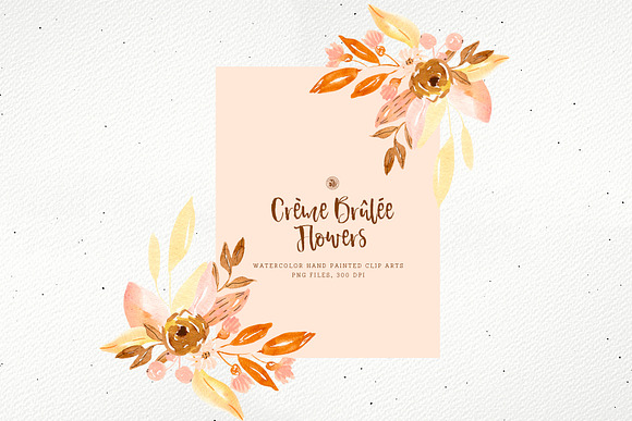 Creme Brulee Flowers in Illustrations - product preview 2