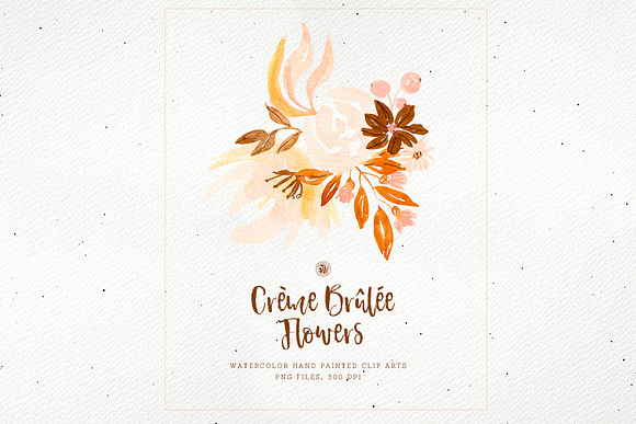Creme Brulee Flowers in Illustrations - product preview 3