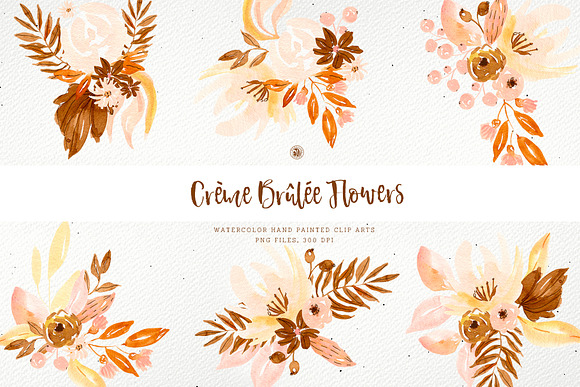 Creme Brulee Flowers in Illustrations - product preview 4