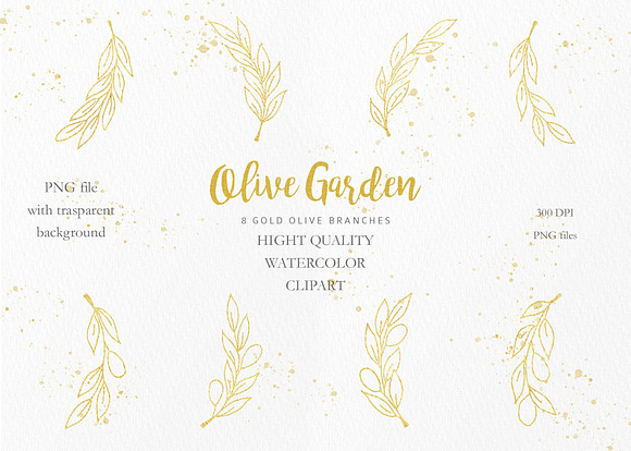 Olive Garden Clipart Collection in Illustrations - product preview 6
