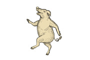 Jolly Pig Dancing Drawing Retro