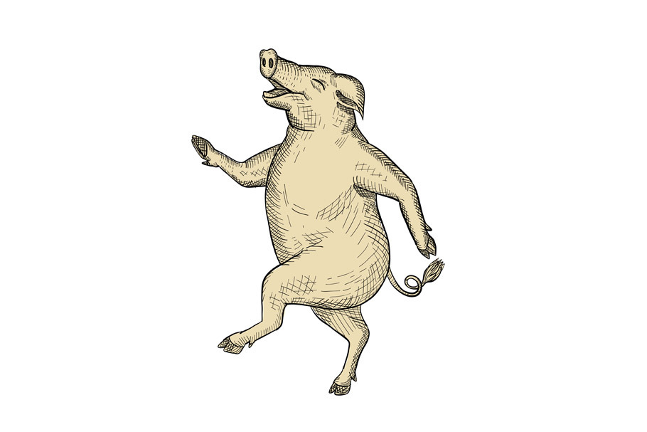 Jolly Pig Dancing Drawing Retro