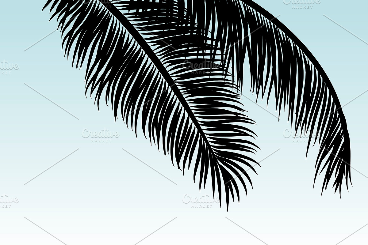 Coconut leaves with copy space in Illustrations - product preview 8