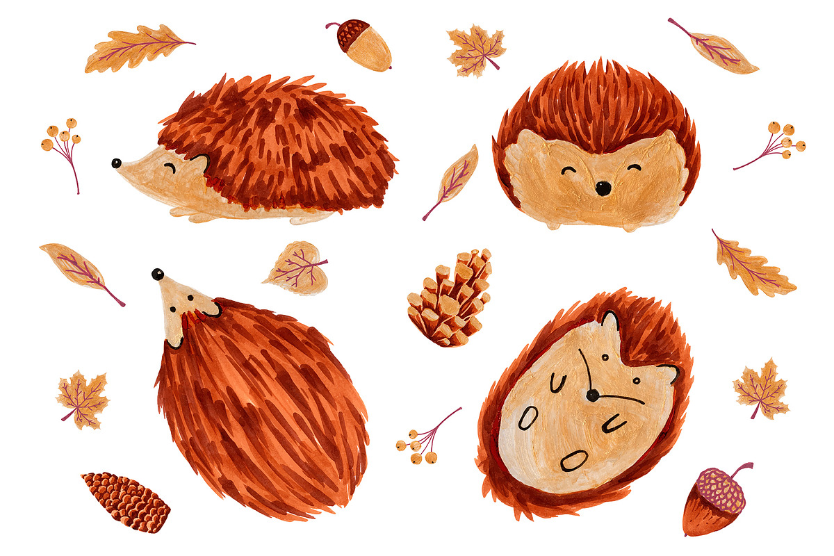 Cute Hedgehogs in Objects - product preview 8