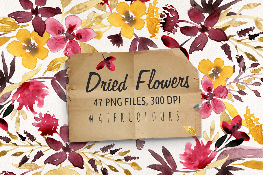Dried Flowers in Illustrations - product preview 8