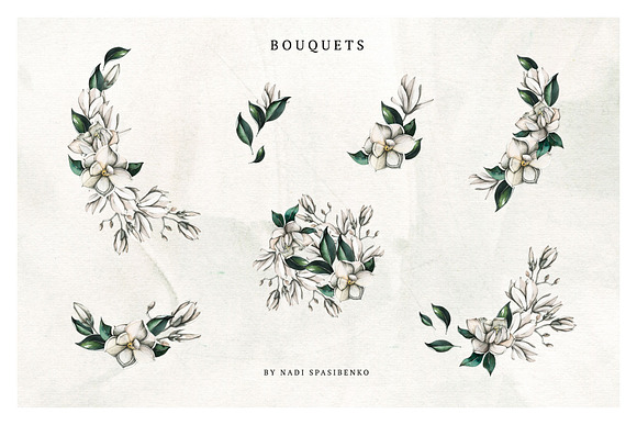 Watercolor White Magnolia in Illustrations - product preview 2