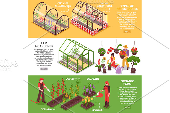 Greenhouse Isometric Set in Illustrations - product preview 3