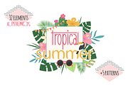 Tropical Summer Vector Set
