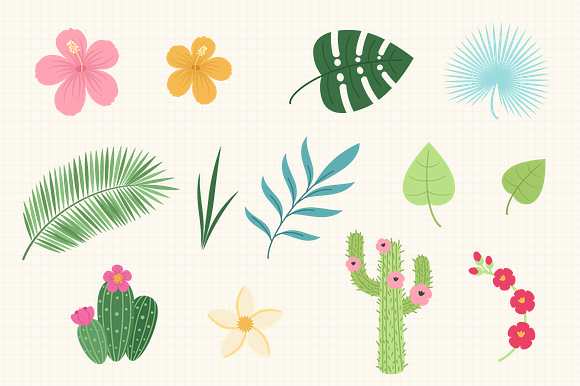 Tropical Summer Vector Set in Illustrations - product preview 7