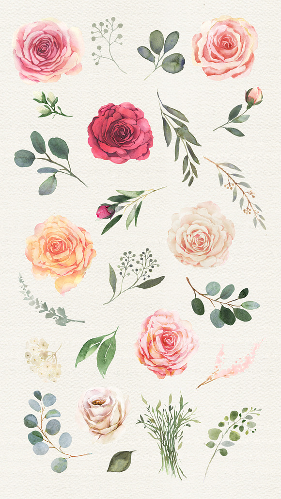 Elegance watercolor clipart in Illustrations - product preview 9