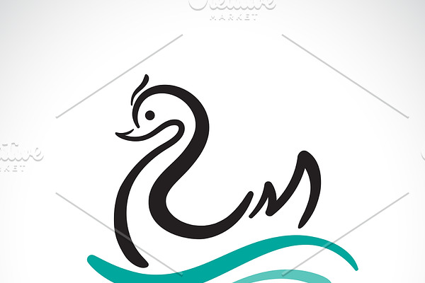 Vector of swan design. Animal.