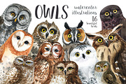 OWLS-watercolor illustrations