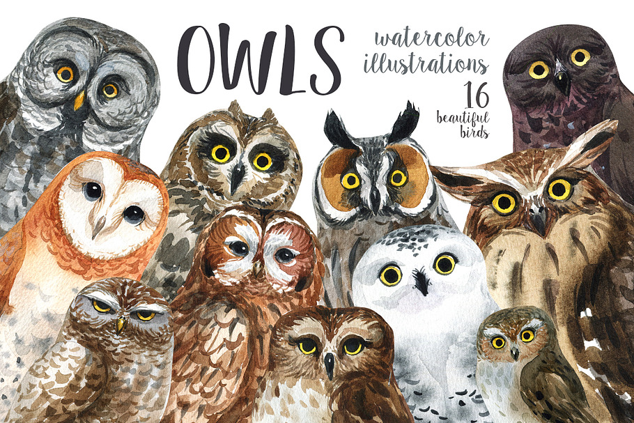 OWLS-watercolor illustrations in Illustrations - product preview 8