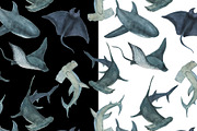 Sharks -watercolor painting patterns