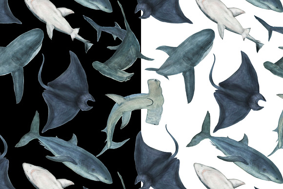 Sharks -watercolor painting patterns in Patterns - product preview 3
