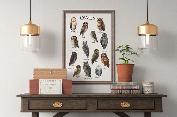 OWLS-watercolor illustrations in Illustrations - product preview 2